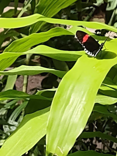 Gift Shop «Meijer Gardens Gift Shop», reviews and photos, 1000 E Beltline Ave NE, Grand Rapids, MI 49525, USA