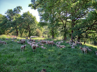 La Ferme du Vialaret à Ségur