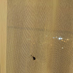 Photo n°1 de l'avis de Michele.a fait le 03/11/2022 à 18:48 sur le  Art Hotel Museo à Prato