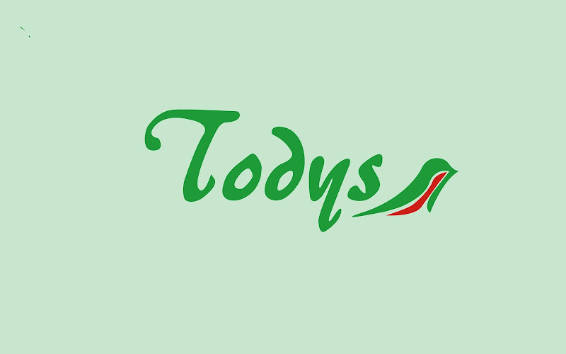 Todys Design