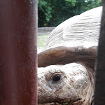 Photo n°12 de l'avis de Mr.a fait le 30/04/2019 à 04:30 sur le  Parco Zoo Falconara Srl à Falconara Marittima