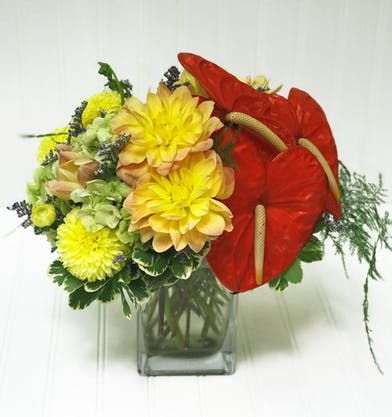 Florist «Blossom Flower Shops», reviews and photos, 275 Mamaroneck Ave, White Plains, NY 10605, USA