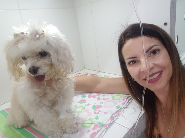 Clínica Veterinária Pet Market - Cuiabá