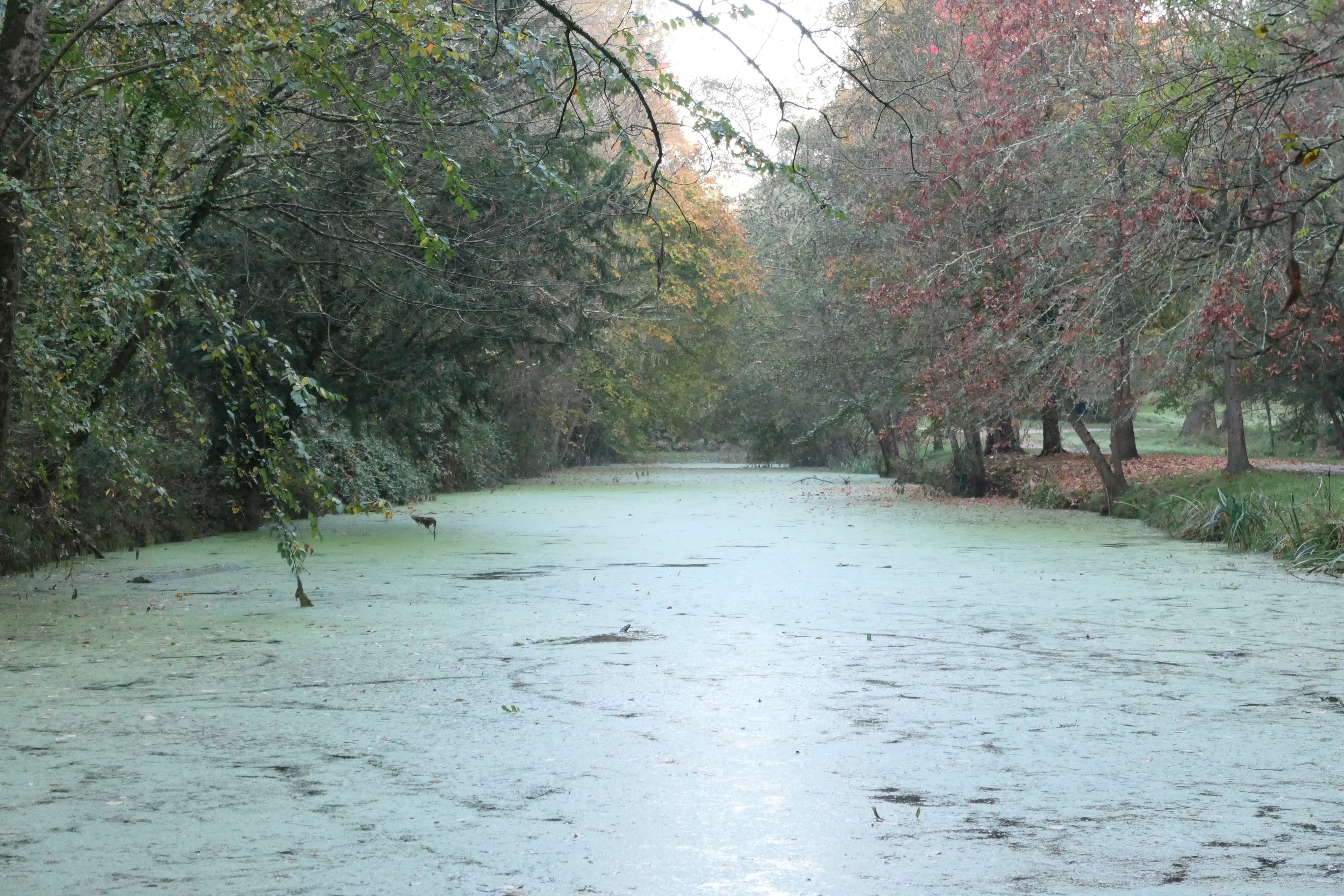 Photo n° 3 de l'avis de Romain.u fait le 27/11/2020 à 19:40
