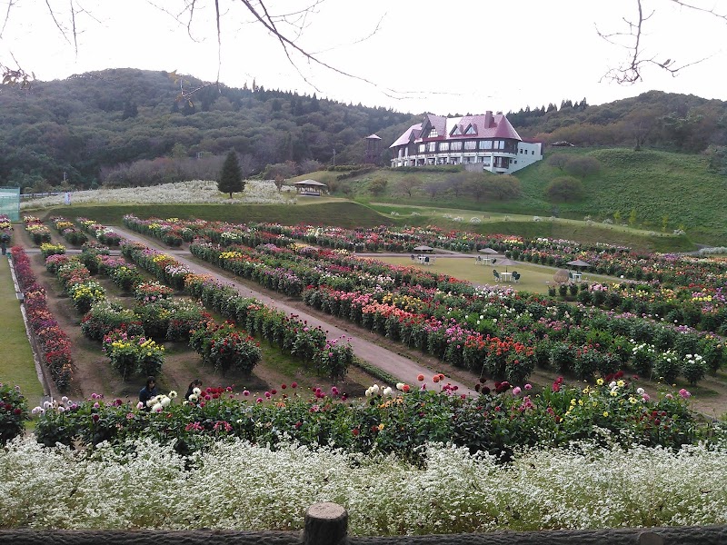 秋田国際ダリア園