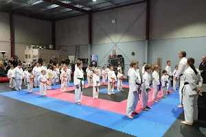 Guy's Karate School image