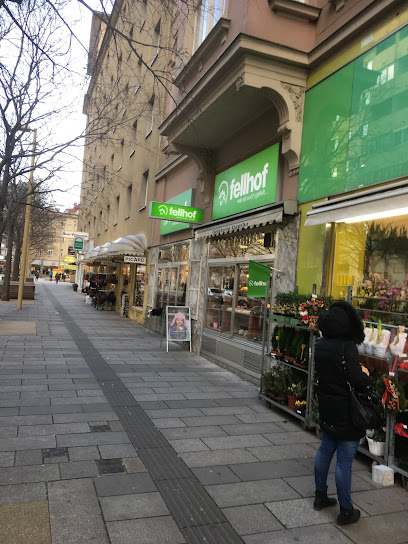 Fellhof Shop Wien Meidling