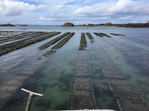 Photo n°5 de EARL Min Er Goas. Huîtres à Lanmodez à Lanmodez ()