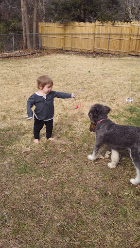 Pet Store «The Puppy Store», reviews and photos, 1163 Merrick Ave, Merrick, NY 11566, USA