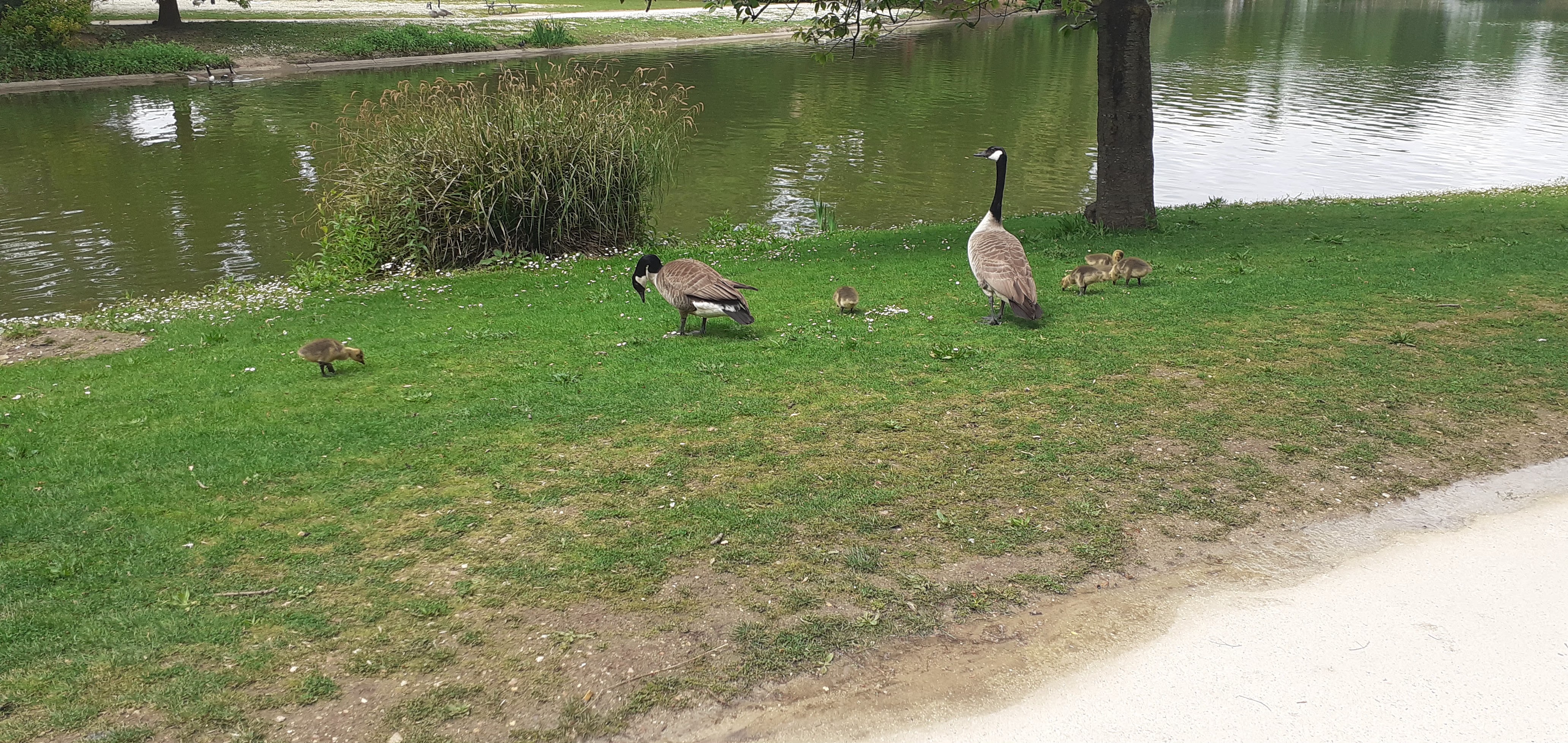 Photo n° 6 de l'avis de christopher.o fait le 20/10/2023 à 14:36