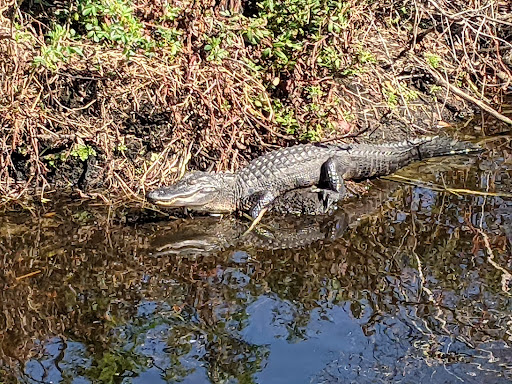 Park «Cypress Wetlands», reviews and photos, 1700 Paris Ave, Port Royal, SC 29935, USA