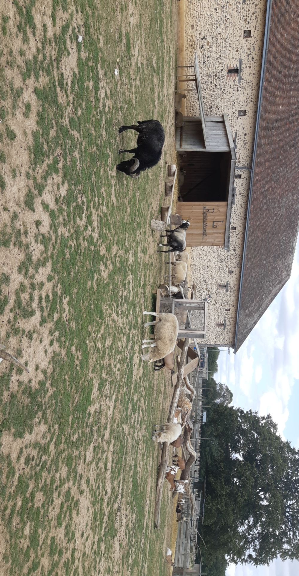 Photo n° 6 de l'avis de Lorine.o fait le 21/08/2019 à 08:47