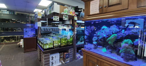 Aquarium Shop «Exotic Aquariums», reviews and photos, 7399 Bird Rd, Miami, FL 33155, USA