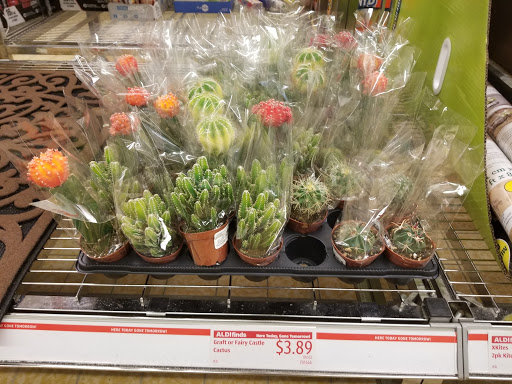 Supermarket «ALDI», reviews and photos, 407 S Lowry St, Smyrna, TN 37167, USA