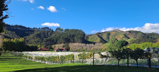 Comments and reviews of Rannach Vineyard Clevedon