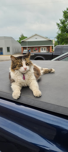 Grocery Store «Heartland Market», reviews and photos, 114 W Main St, Greentown, IN 46936, USA