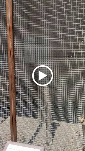 Nature Preserve «Lowry Nature Center», reviews and photos, 7025 Victoria Dr, Victoria, MN 55386, USA