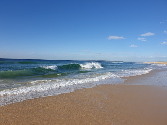Redhead Beach