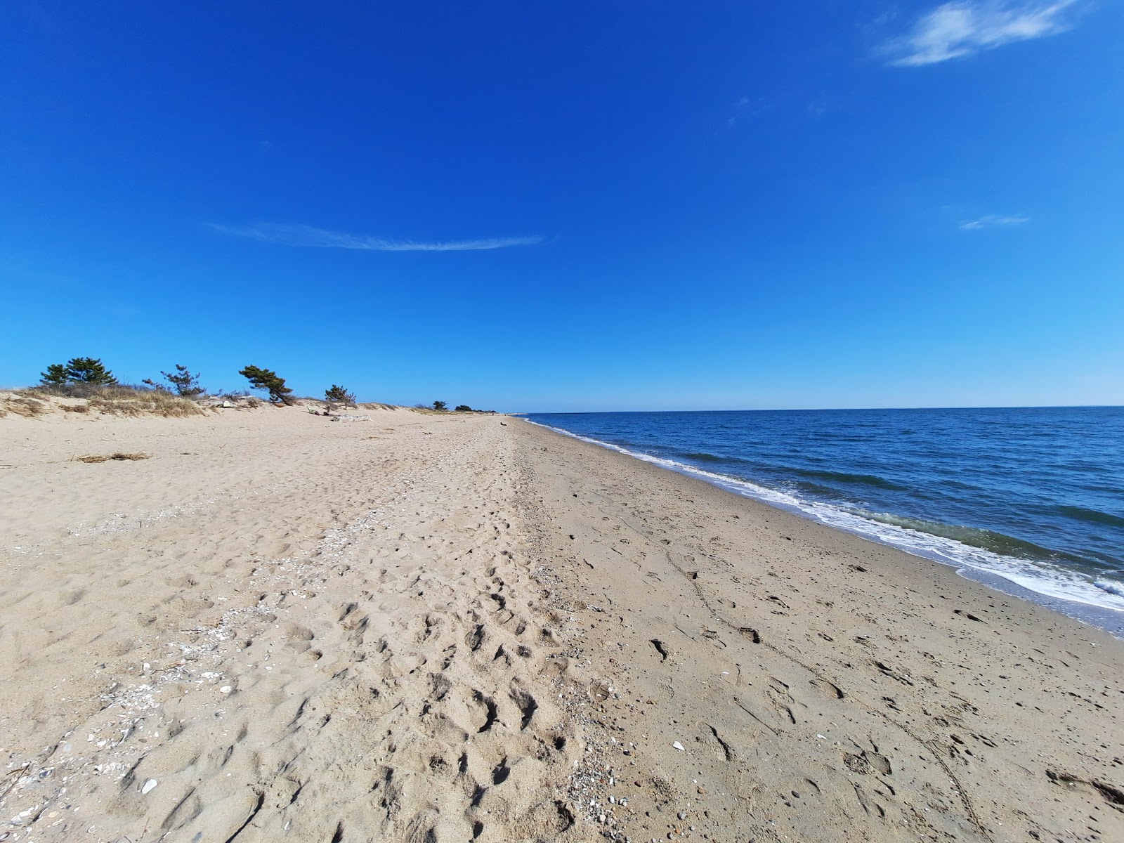 Hammonasset Beach的照片 带有明亮的沙子表面
