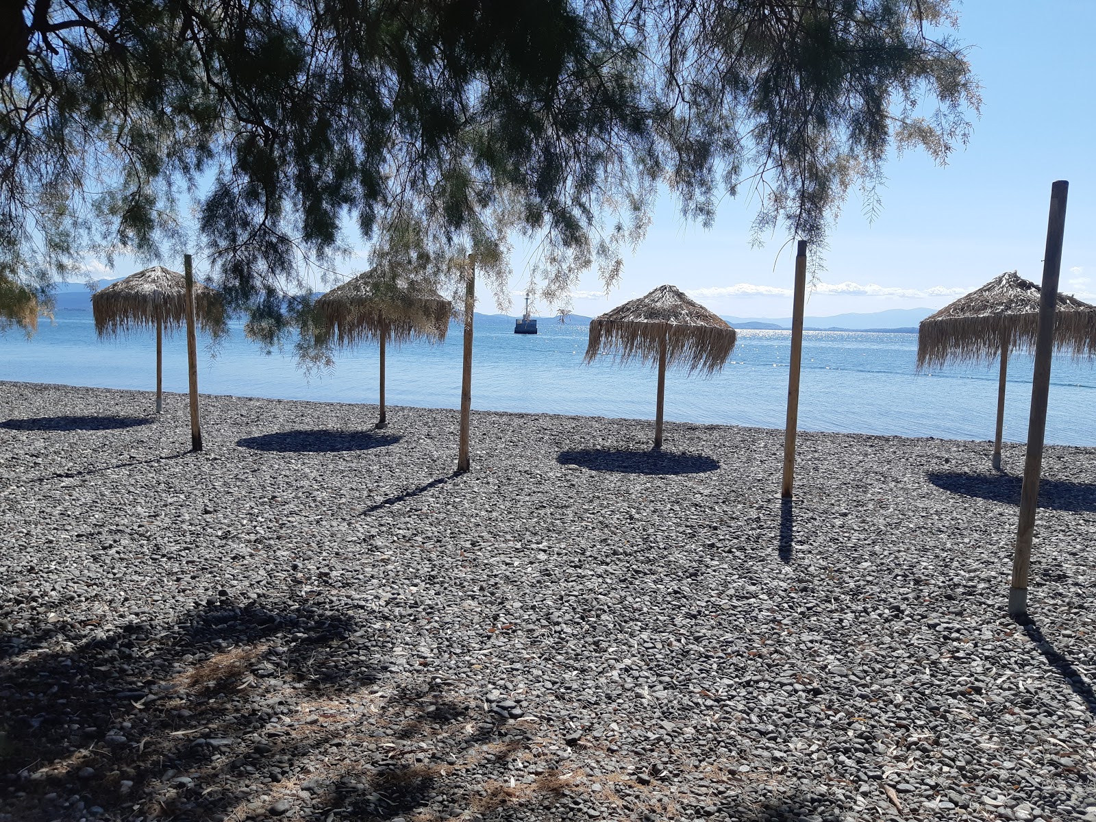 Foto von Politikon 2 beach mit lange, gerade küste
