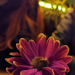 Photo n°2 de l'avis de Klaus. fait le 15/11/2021 à 11:28 sur le  KOMITEE à Munich