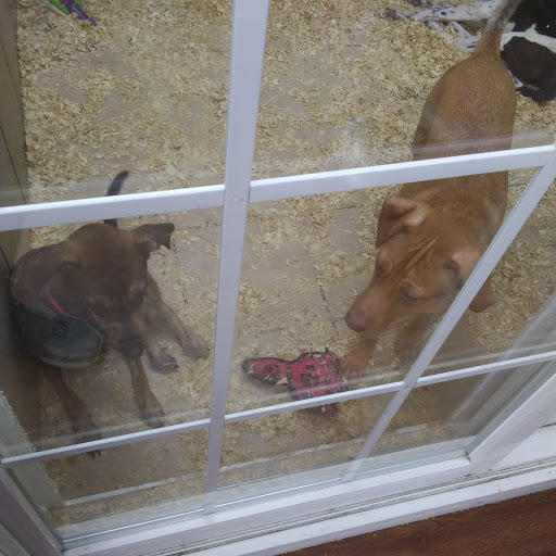 Pet Store «Pets Plus - Quakertown», reviews and photos, 117 S West End Blvd, Quakertown, PA 18951, USA