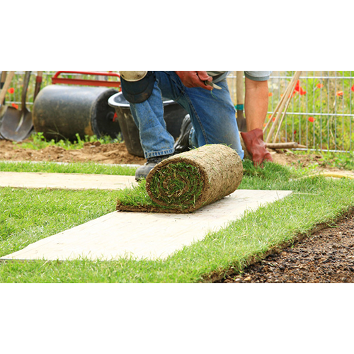 Comments and reviews of Emmerdale Turf Supplies