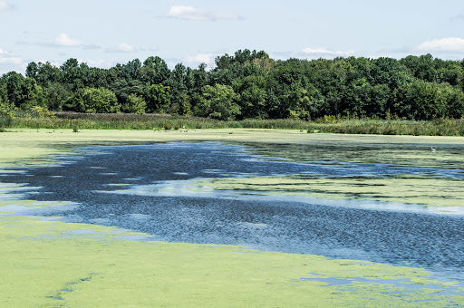 Nature Preserve «The Celery Farm», reviews and photos, Franklin Turnpike, Allendale, NJ 07401, USA