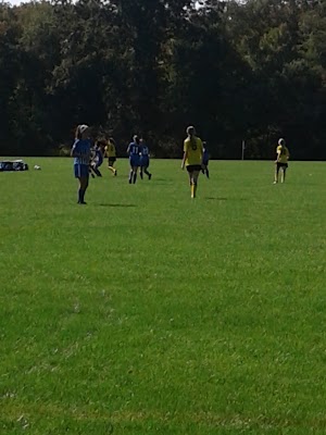 Milot Field - photo 22