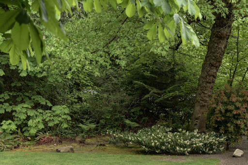 Park «Zumdieck Park», reviews and photos, 1500 108th Ave NE, Bellevue, WA 98004, USA