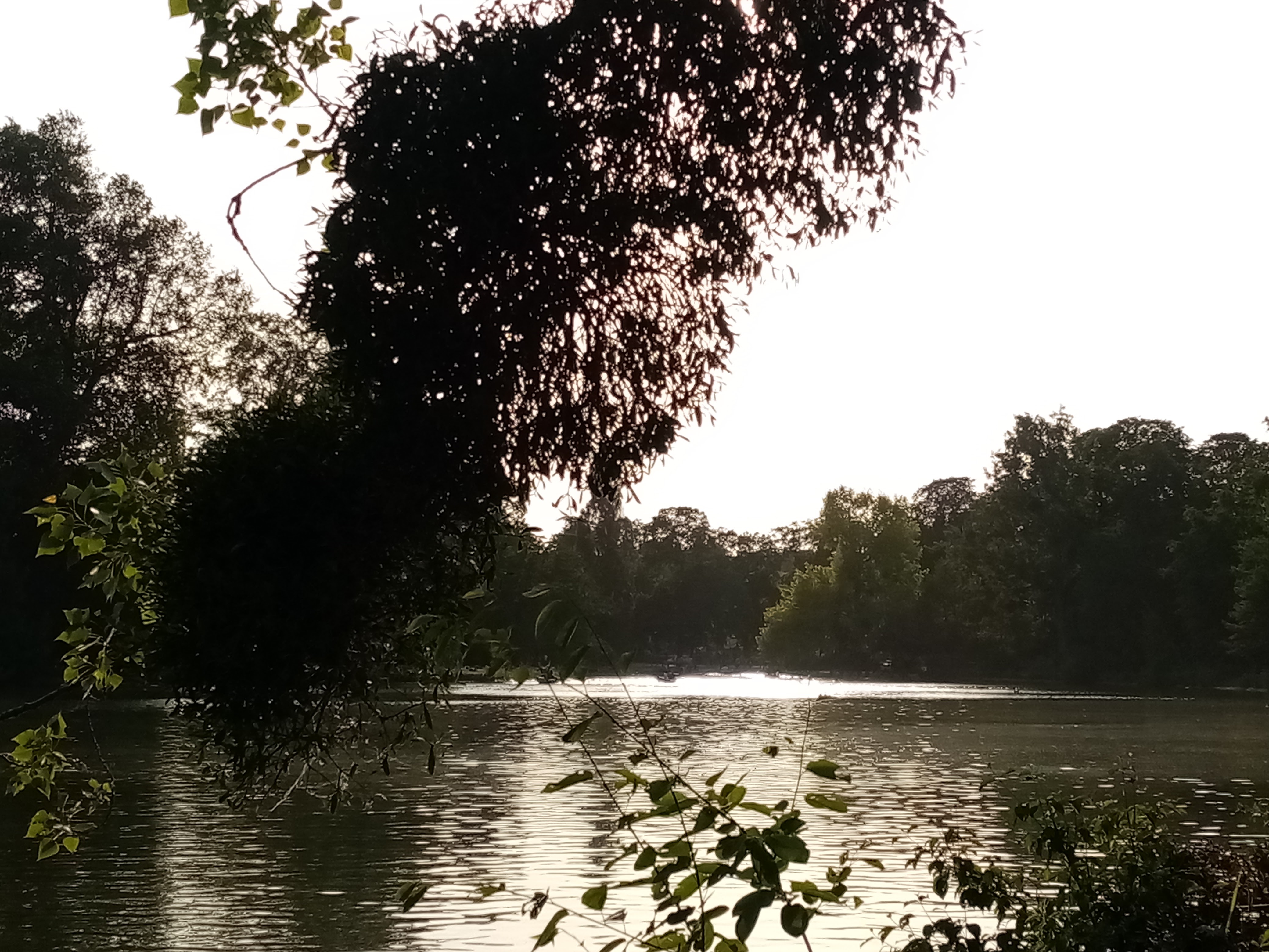 Photo n° 10 de l'avis de Sylvie.a fait le 11/10/2021 à 06:16