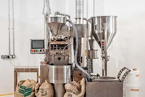 Bear Market Coffee Roasters image