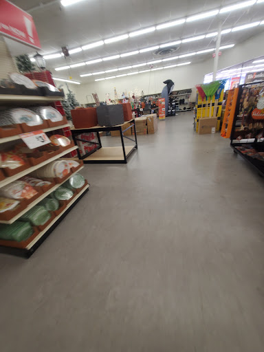 Discount Store «Big Lots», reviews and photos, 13970 N Cleveland Ave, Fort Myers, FL 33903, USA