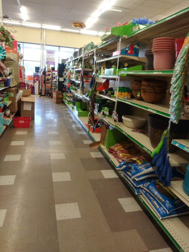 Dollar Store «FAMILY DOLLAR», reviews and photos, 417 Michigan St, Algonac, MI 48001, USA