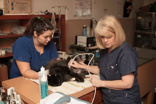 Haughton Animal Hospital image