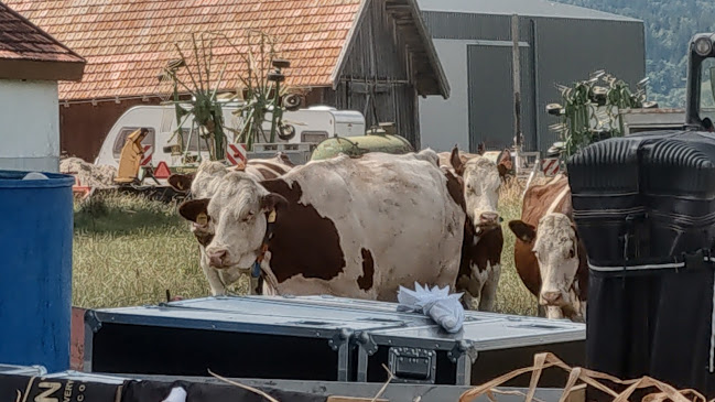 Kommentare und Rezensionen über La Ferme Des Tourbières