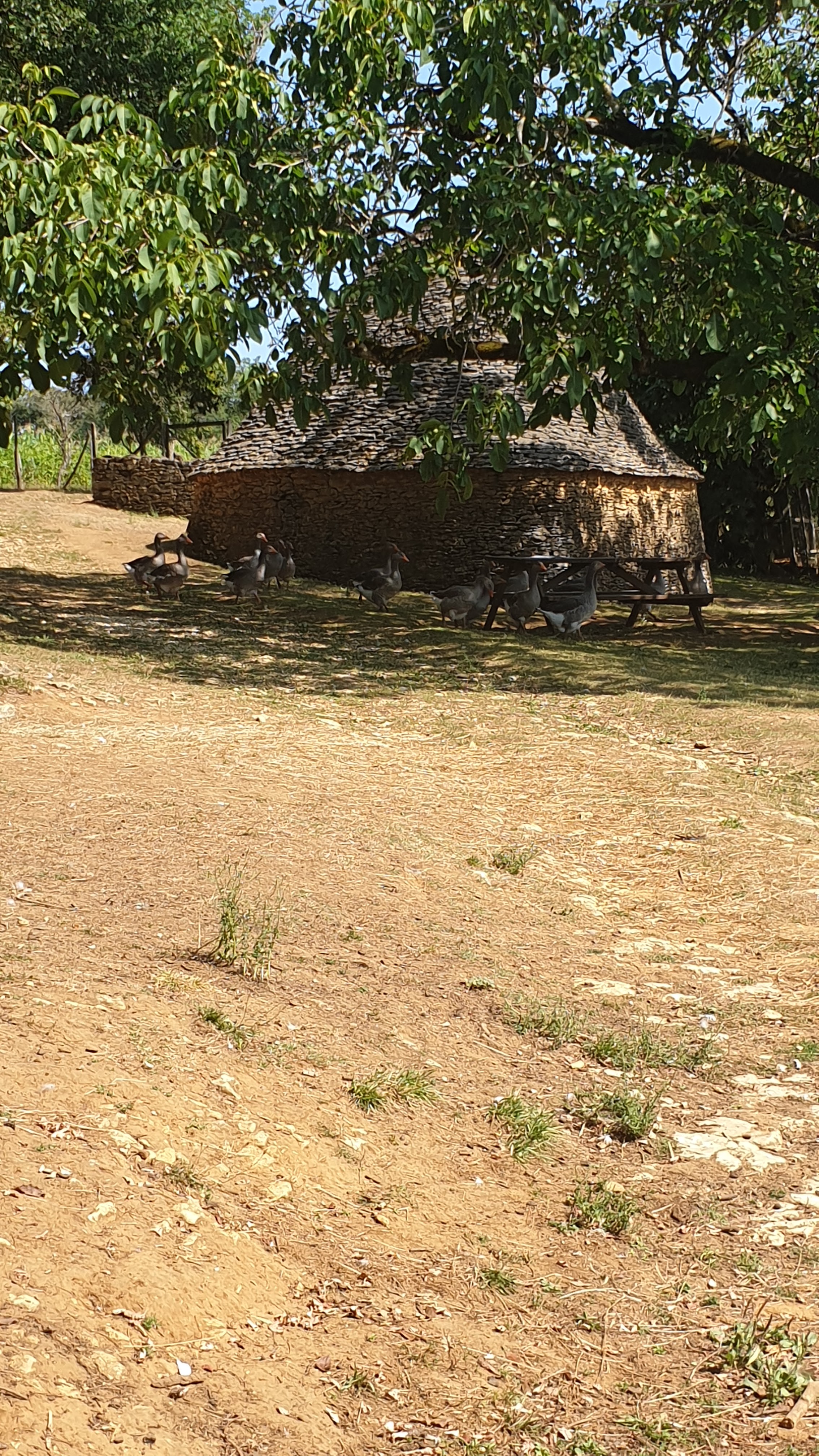 Photo n° 11 de l'avis de Sandrine.O fait le 11/08/2019 à 20:03
