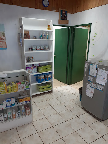 https://www.gvetweb.com/consulta-dr-carlos-rojas