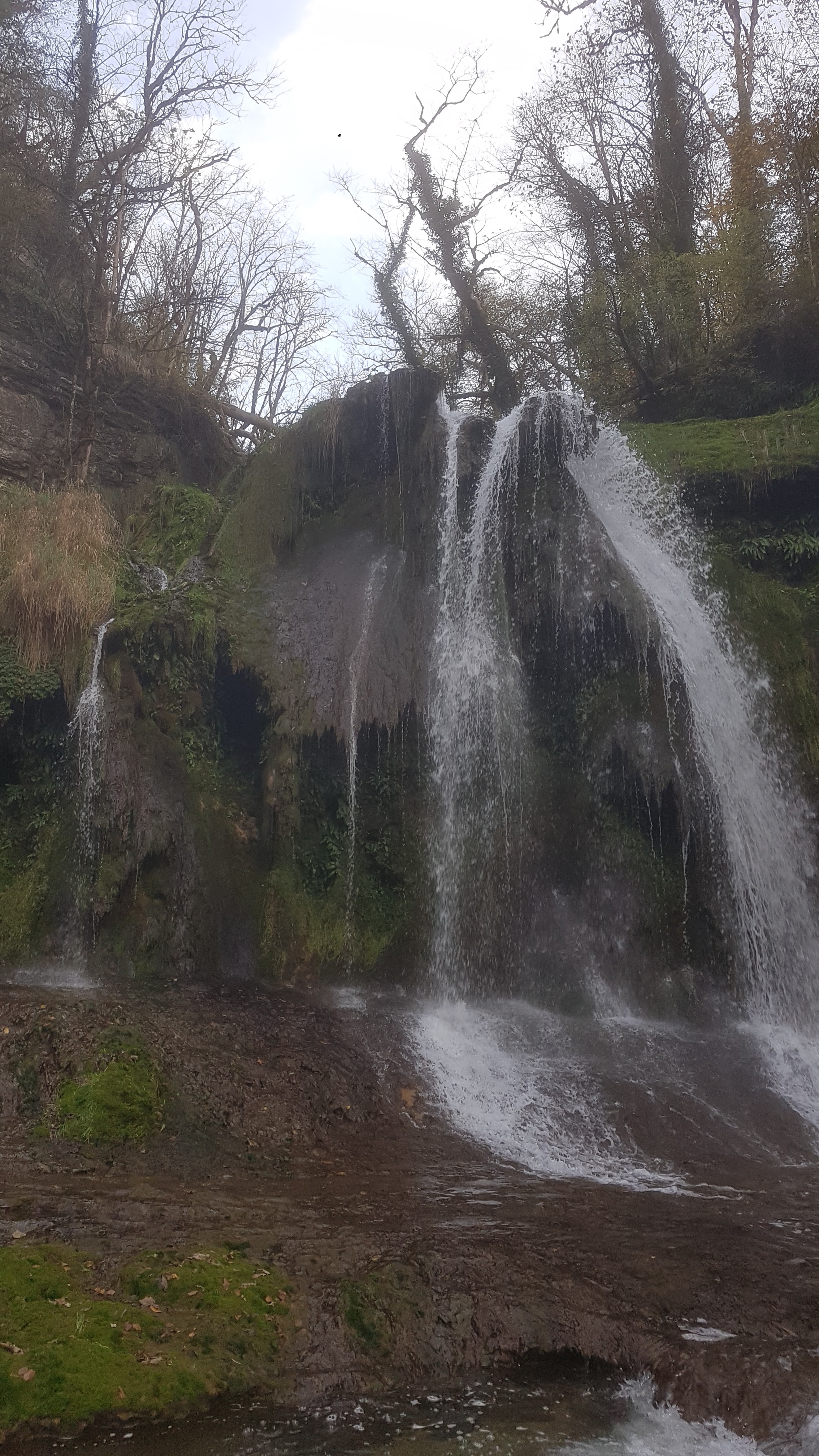 Photo n° 2 de l'avis de François.o fait le 01/11/2022 à 17:46