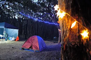 Stringybark Campsite image