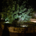 Photo n°2 de l'avis de M. fait le 12/10/2019 à 14:27 sur le  Tenuta Orsanese à Marina di Ginosa