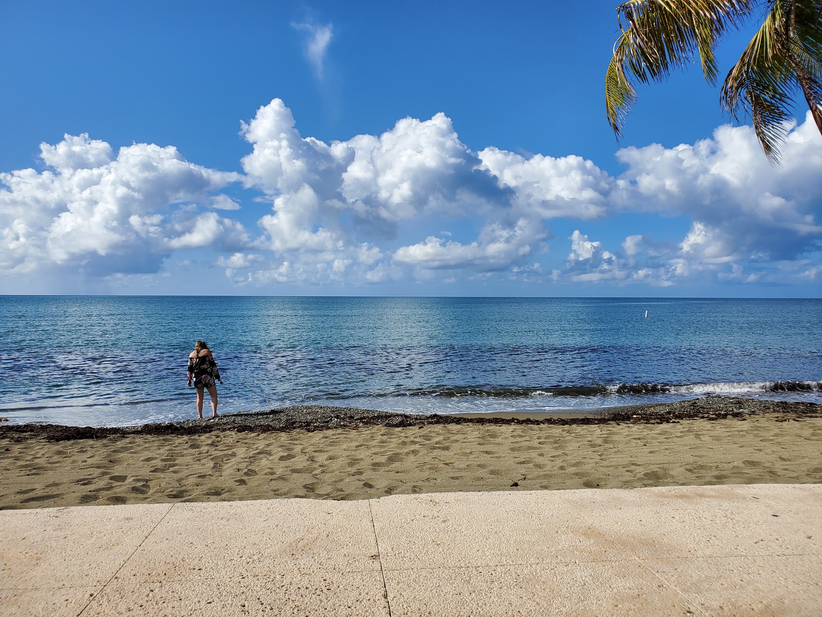 Playa Hilton Ponce的照片 和解