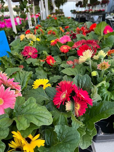 Florist «TG Designs», reviews and photos, 19231 Longmeadow Rd, Hagerstown, MD 21742, USA