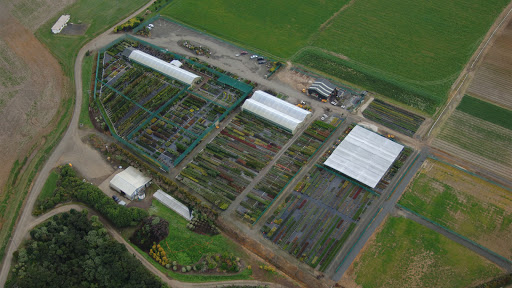 Awa Nursery