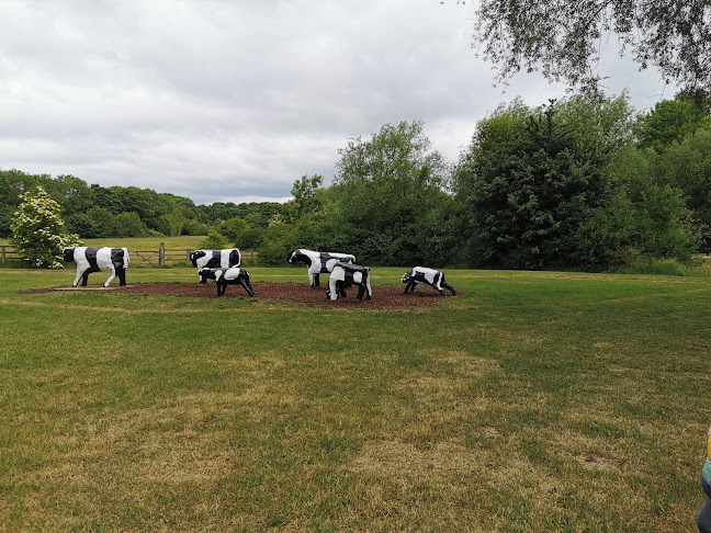 Reviews of Concrete Cows in Milton Keynes - Museum