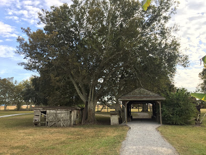 Laura Plantation: Louisiana's Créole Heritage Site