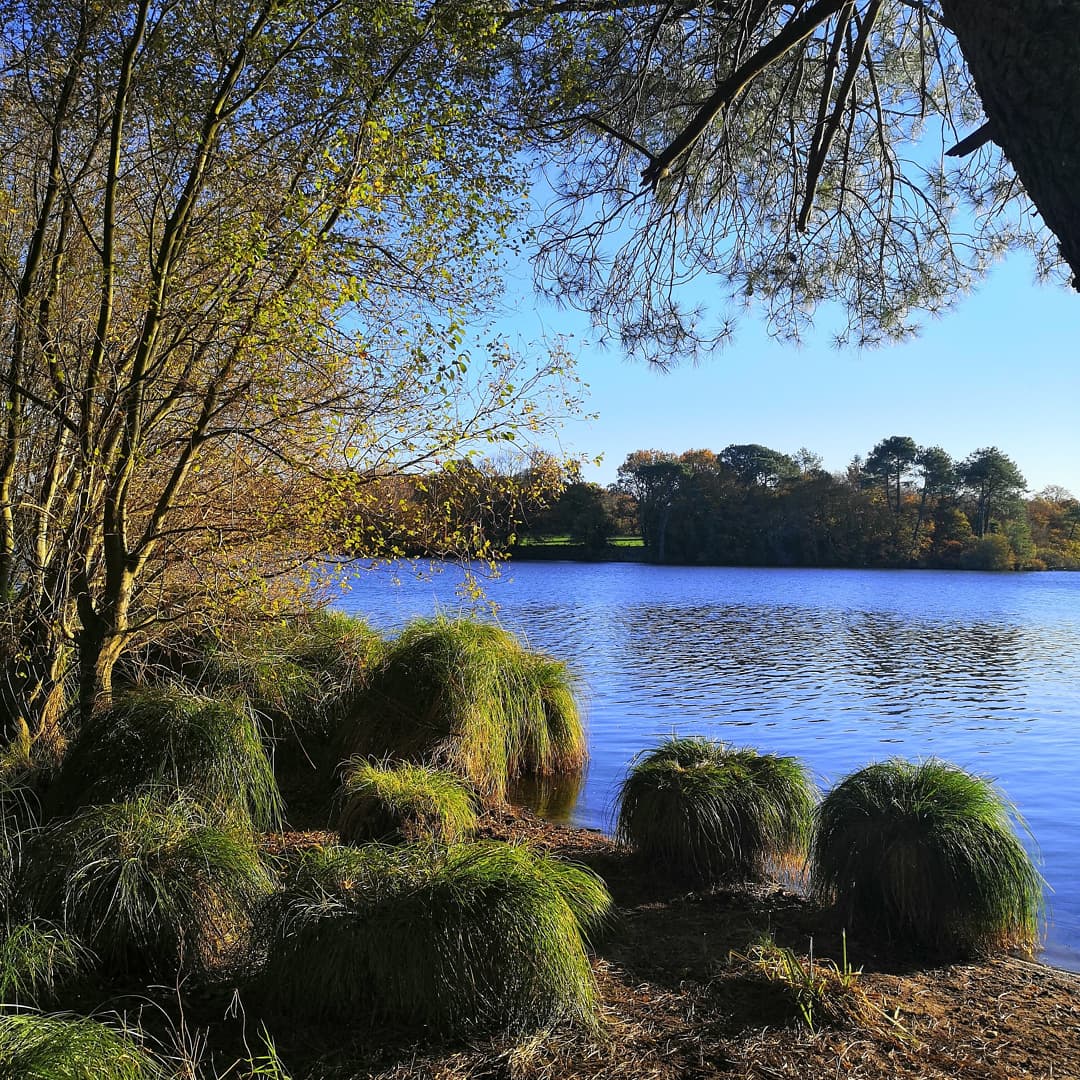 Photo n° 3 de l'avis de corinne.m fait le 02/08/2022 à 11:24