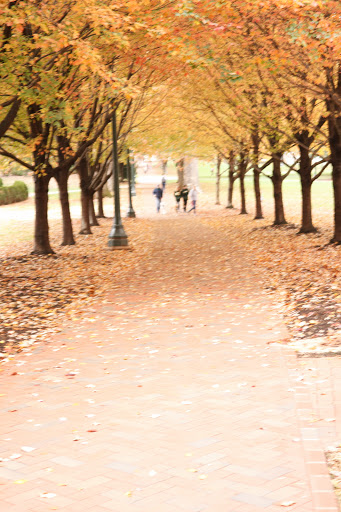 Pet Supply Store «Pet Supplies Plus», reviews and photos, 1240 Seminole Trail, Charlottesville, VA 22901, USA