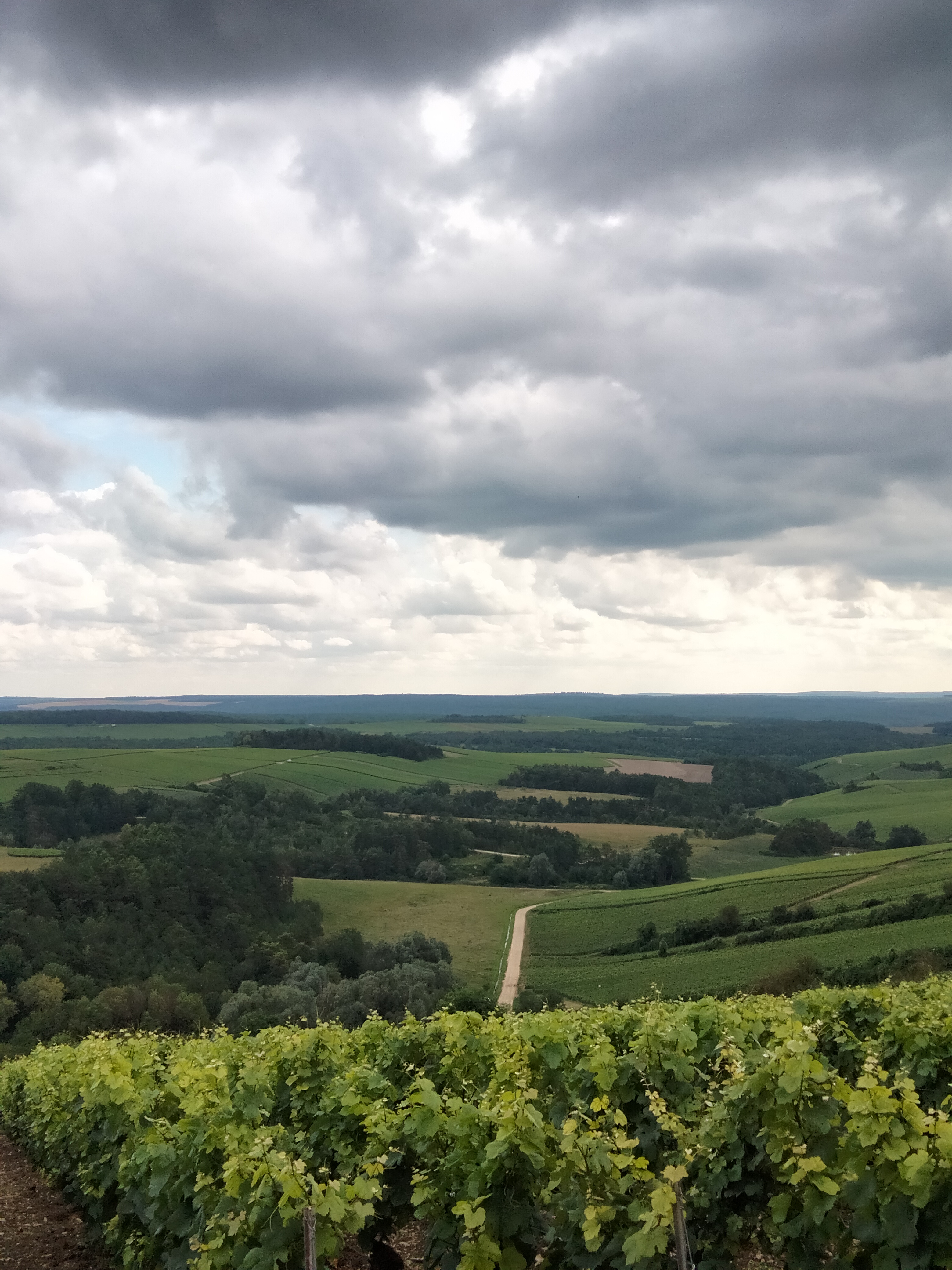 Photo n° 2 de l'avis de Arie.a fait le 27/07/2021 à 04:51