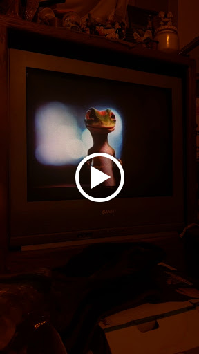 Supermarket «Publix Super Market at Rockledge Square», reviews and photos, 1880 US-1, Rockledge, FL 32955, USA